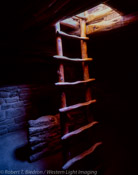 Kiva, Spruce Tree House, Mesa Verde National Park, Colorado (4x5)
