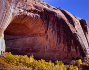 Amphitheater, Calf Creek, Grand Staircase - Escalante National Monument, Utah (4x5)
