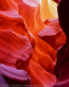 Firestom in Stone, Lower Antelope Canyon, Arizona (4x5)