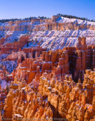 Morning Light, Bryce Canyon National Park, Utah (8x10)