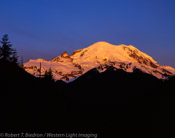 Alpenglow, Mt. Rainier, Washington (4x5)
