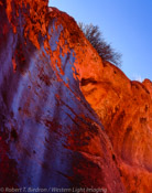 Desert Varnish, Buckskin Gulch, Arizona (4x5)