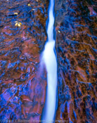 The Crack, Left Fork of North Creek, Zion National Park, Utah (4x5)