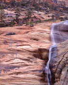 Ephemeral Waterfall, Zion Narional Park, Utah (8x10)